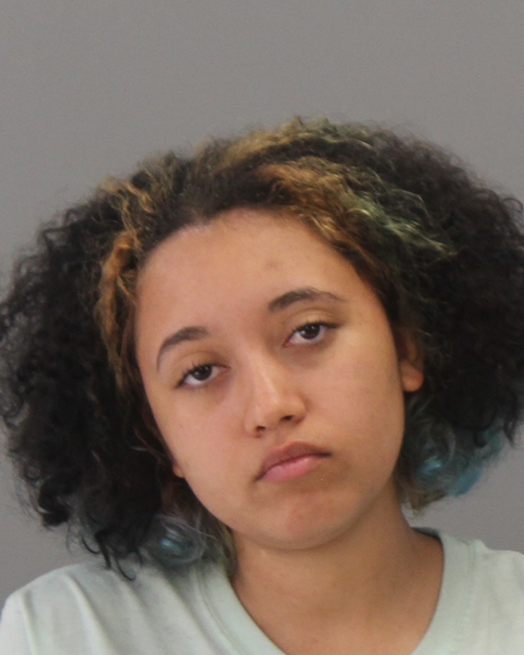 NORRIS, GABRIELLE FAY arrested by Brazos County SO/PD