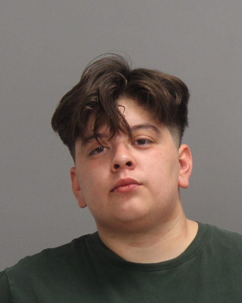 GOMEZ, ALICIA JEAN arrest record in Brazos County, Texas GOMEZ, ALICIA JEAN arrested in Brazos County, Texas mugshot