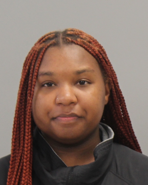 Burns, Jasmine Nikkole arrest record in Brazos County, Texas Burns, Jasmine Nikkole arrested in Brazos County, Texas mugshot