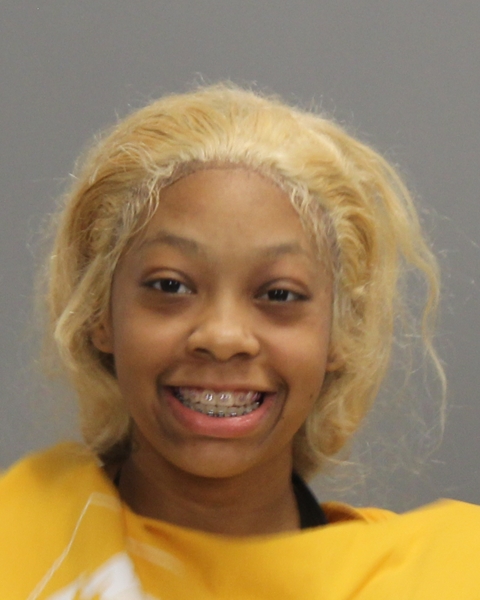MITCHELL, LAMIA arrest record in Brazos County, Texas MITCHELL, LAMIA arrested in Brazos County, Texas mugshot