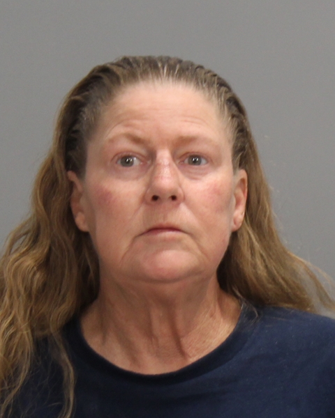 PLETZER, ELAINE ENGLEMANN arrest record in Brazos County, Texas PLETZER, ELAINE ENGLEMANN arrested in Brazos County, Texas mugshot