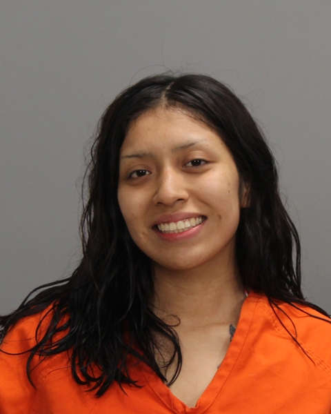 GONZALEZ, SHERLYN arrest record in Brazos County, Texas GONZALEZ, SHERLYN arrested in Brazos County, Texas mugshot