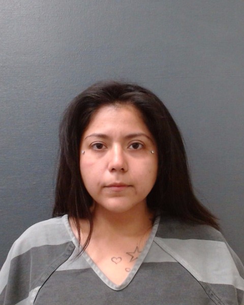 VILLARREAL, ANNIY RAIGEN arrest record in Comal County, Texas VILLARREAL, ANNIY RAIGEN arrested in Comal County, Texas mugshot