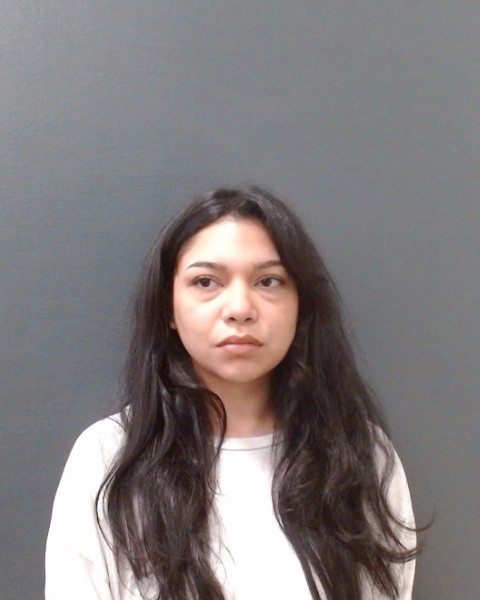 ARMENDARIZ, DANIELLE EVE arrested by Comal County Sheriffs Office