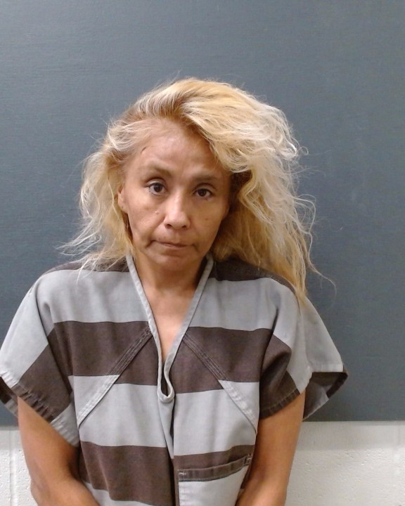 GOMEZ, NORMA L arrest record in Comal County, Texas GOMEZ, NORMA L arrested in Comal County, Texas mugshot