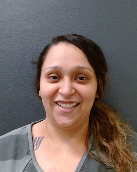VILLARREAL, ARMANDA MERCEDES arrest record in Comal County, Texas VILLARREAL, ARMANDA MERCEDES arrested in Comal County, Texas mugshot