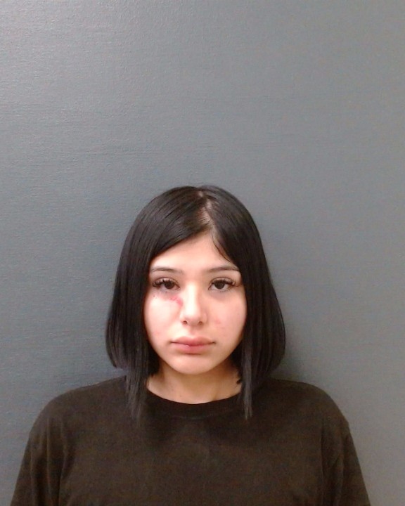 PATINO, ANGELICA DANIELLE arrested by Comal County SO/PD