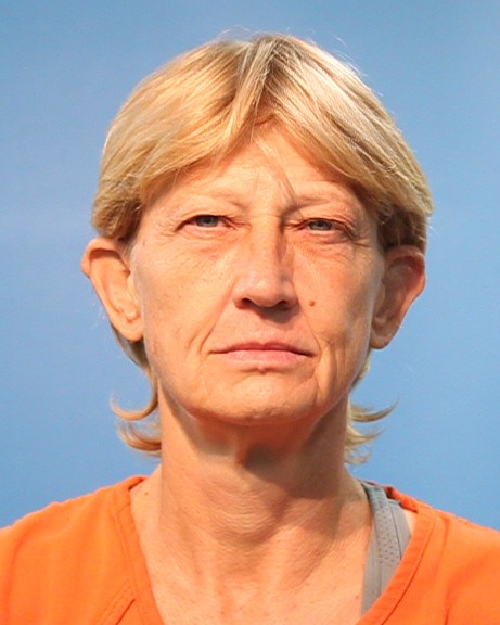 Watson, Susan Renae arrest record in Brazoria County, Texas Watson, Susan Renae arrested in Brazoria County, Texas mugshot