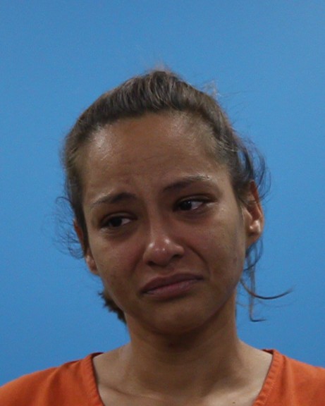 Ledesma, Kelli Lyn arrest record in Brazoria County, Texas Ledesma, Kelli Lyn arrested in Brazoria County, Texas mugshot