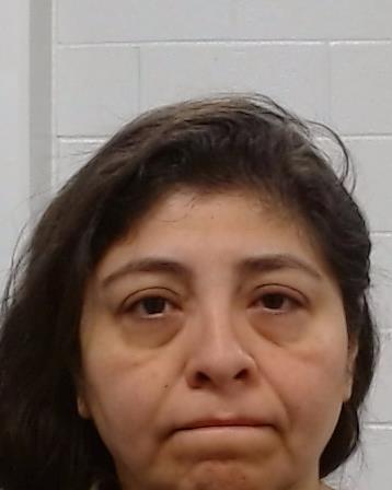 Buenfil, Michele A. arrest record Buenfil, Michele A. mugshot
