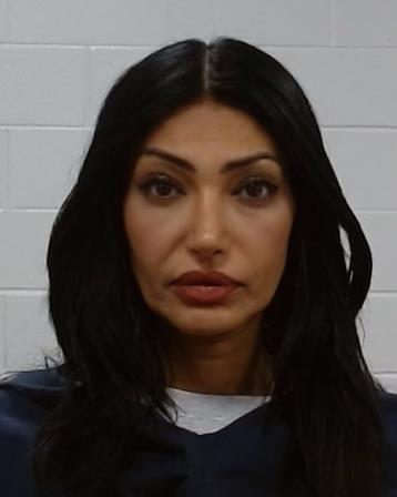 Seyam, Nada Ahmad arrest record Seyam, Nada Ahmad mugshot