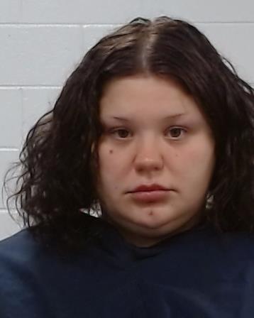 Reed, Allison Nicole arrested by Collin County SO/PD