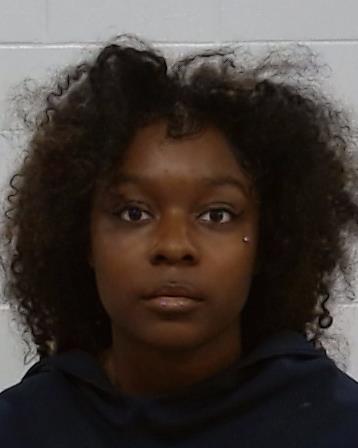 Dyer, Amanda Leigh arrest record Dyer, Amanda Leigh mugshot