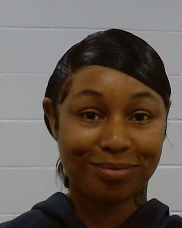 Johnson, Ashley Renee arrested by Collin County SO/PD