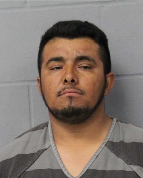 DEIBI AVELAR CARDOZA arrested by APD