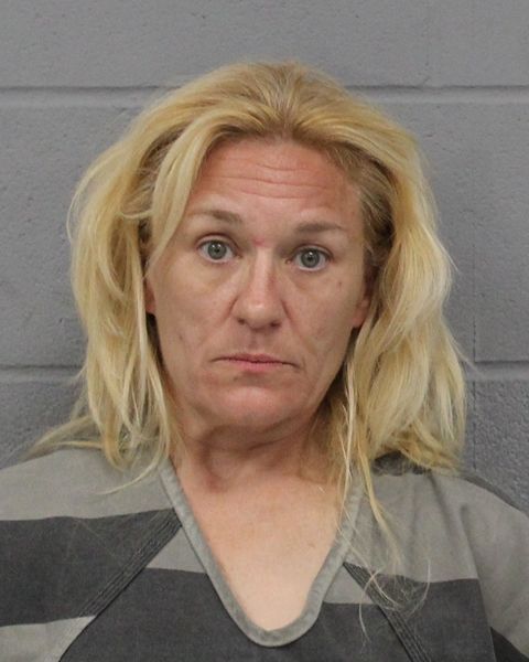 TANYA GOEBEL arrest record TANYA GOEBEL mugshot