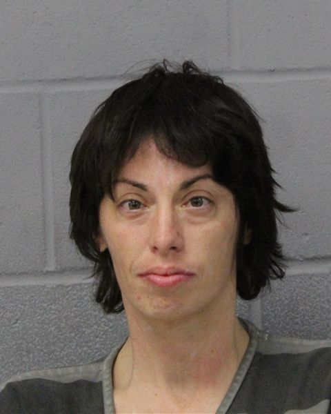 ERIKA MOON arrest record ERIKA MOON mugshot