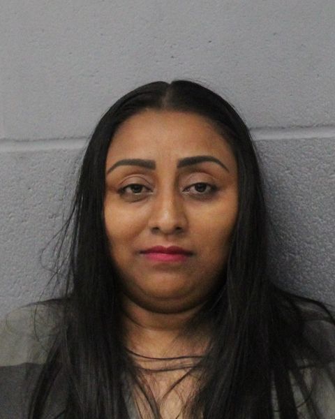 DAISY CASTILLO MEQUI arrest record DAISY CASTILLO MEQUI mugshot