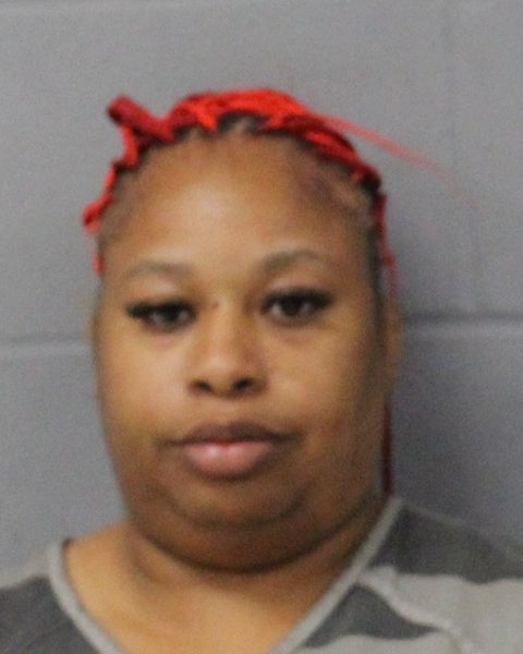 MARY LEAKE arrest record MARY LEAKE mugshot