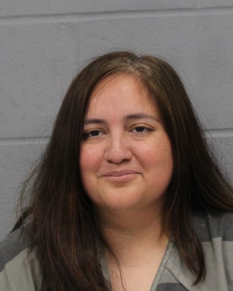 LEANN LARA arrest record LEANN LARA mugshot