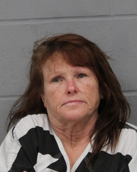 LAURA MCADAMS arrest record LAURA MCADAMS mugshot
