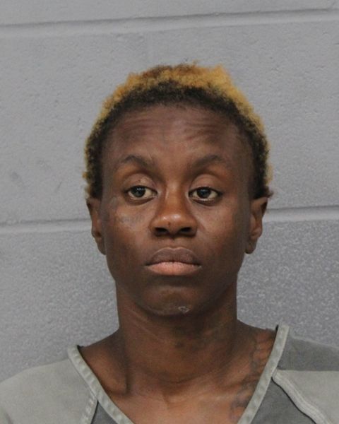 DESTINEY ASHLEY arrested by APD