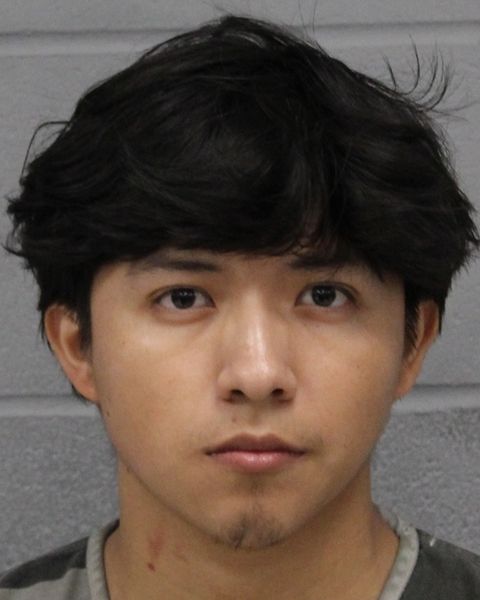 EMERSON MATEO arrest record EMERSON MATEO mugshot