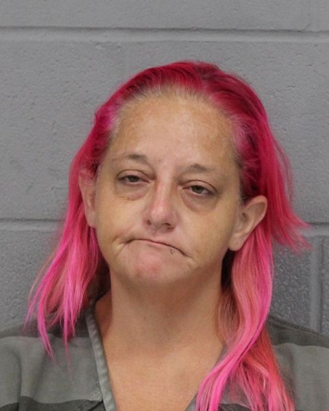 AMANDA SCHULZ arrest record AMANDA SCHULZ mugshot