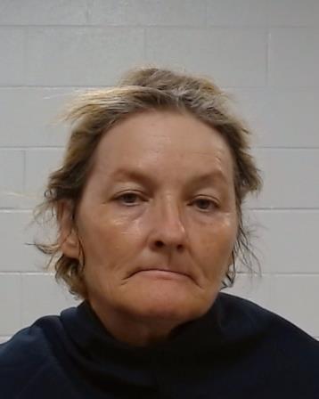 Rogers, Tammie Renee arrested by Collin County SO/PD