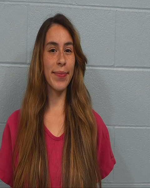 Faulkner, Sarah arrest record in Williamson County, Texas Faulkner, Sarah arrested in Williamson County, Texas mugshot