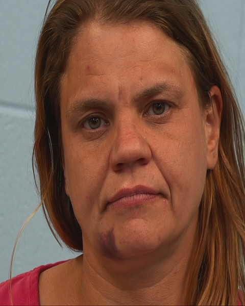 Knight, Melanie Delaine arrest record in Williamson County, Texas Knight, Melanie Delaine arrested in Williamson County, Texas mugshot