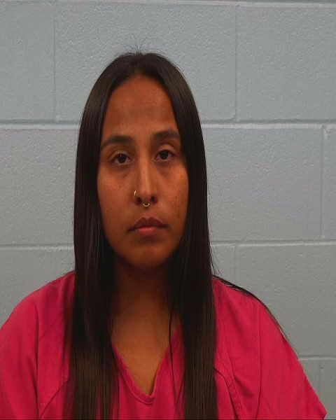 Mendoza, Sabrina arrest record in Williamson County, Texas Mendoza, Sabrina arrested in Williamson County, Texas mugshot