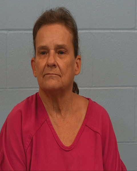 Stinson, Barbara Ann arrest record in Williamson County, Texas Stinson, Barbara Ann arrested in Williamson County, Texas mugshot