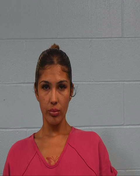Lira, Elysia Lyn arrest record in Williamson County, Texas Lira, Elysia Lyn arrested in Williamson County, Texas mugshot