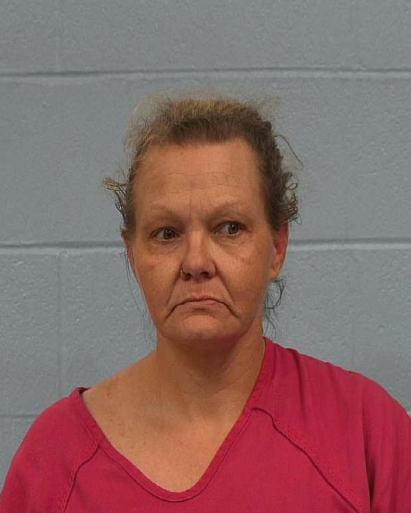 Brown, Jamie Lynn arrest record in Williamson County, Texas Brown, Jamie Lynn arrested in Williamson County, Texas mugshot