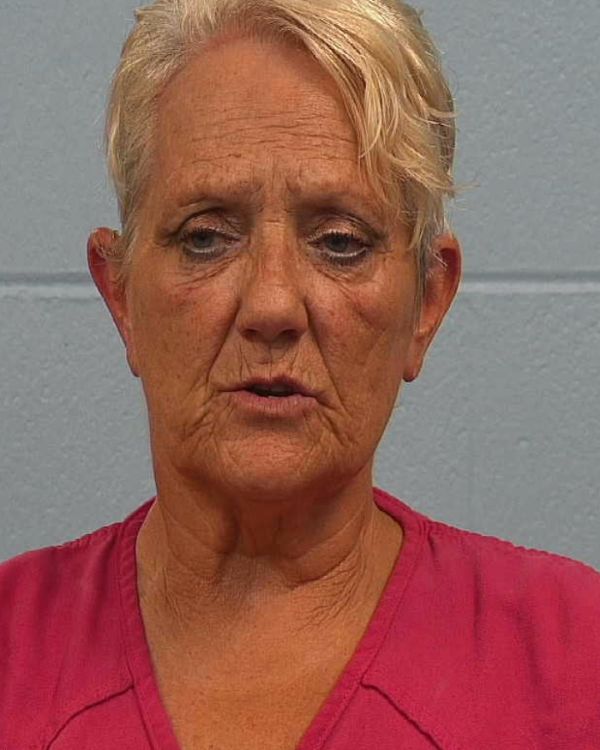Collins, Lisa arrest record in Williamson County, Texas Collins, Lisa arrested in Williamson County, Texas mugshot