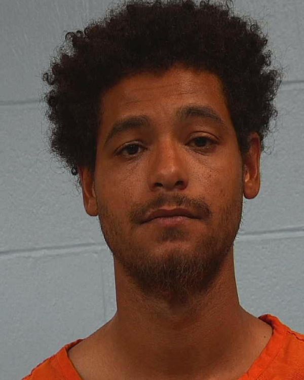 Lott, David Paul arrest record in Williamson County, Texas Lott, David Paul arrested in Williamson County, Texas mugshot