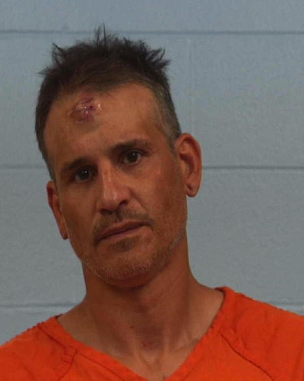 Wise, Anthony Robert arrested by Williamson County PD/SO