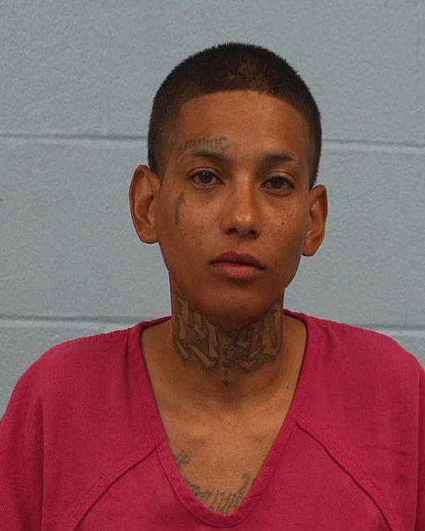 Reyes, Anica Michelle arrest record in Williamson County, Texas Reyes, Anica Michelle arrested in Williamson County, Texas mugshot