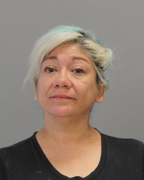 GUAJARDO, IRIS arrest record in Brazos County, Texas GUAJARDO, IRIS arrested in Brazos County, Texas mugshot