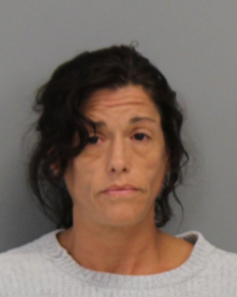 HUTCHISON, GENA MARIE arrest record in Brazos County, Texas HUTCHISON, GENA MARIE arrested in Brazos County, Texas mugshot