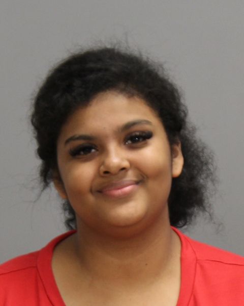 Auston, Lizzie Ivon arrest record in Brazos County, Texas Auston, Lizzie Ivon arrested in Brazos County, Texas mugshot