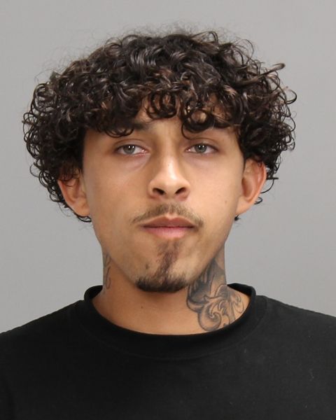SCHOENFELDER, GRIFFIN JAMES arrest record in Brazos County, Texas SCHOENFELDER, GRIFFIN JAMES arrested in Brazos County, Texas mugshot