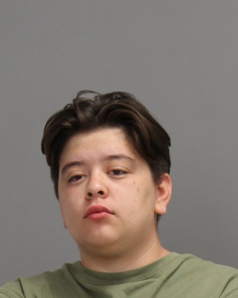GOMEZ, ALICIA JEAN arrest record in Brazos County, Texas GOMEZ, ALICIA JEAN arrested in Brazos County, Texas mugshot