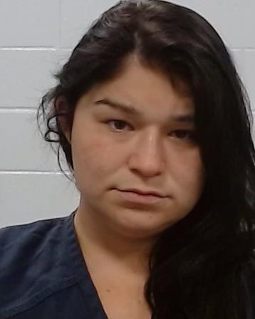 Briceno, Theadosia Susan arrest record Briceno, Theadosia Susan mugshot