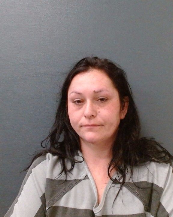 PENA, VIVIAN GLORIA arrest record in Comal County, Texas PENA, VIVIAN GLORIA arrested in Comal County, Texas mugshot