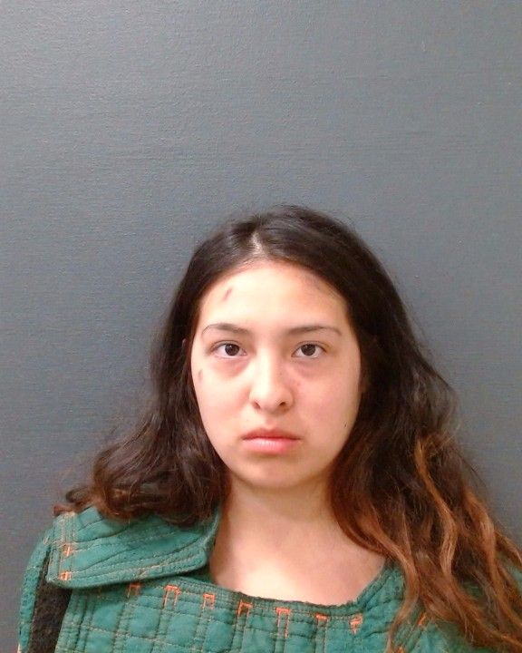 GRIFFIN, FAITH ELIZABETH arrest record in Comal County, Texas GRIFFIN, FAITH ELIZABETH arrested in Comal County, Texas mugshot