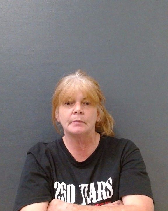 RENEAU, CYNTHIA ANN arrest record in Comal County, Texas RENEAU, CYNTHIA ANN arrested in Comal County, Texas mugshot