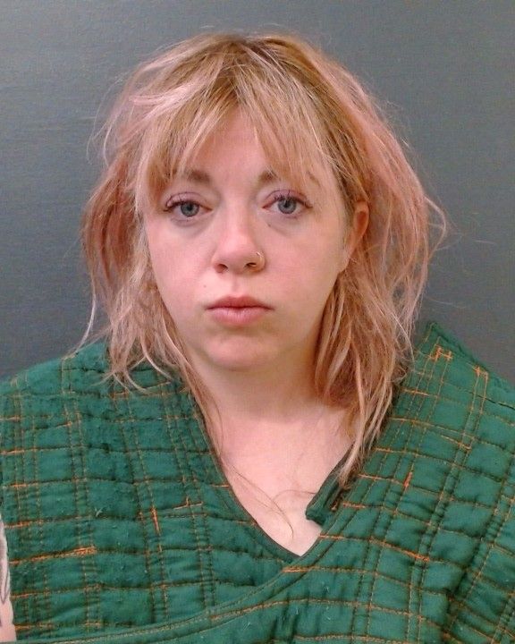 CAMPAGNOLO, MEGAN LYDIA arrest record in Comal County, Texas CAMPAGNOLO, MEGAN LYDIA arrested in Comal County, Texas mugshot