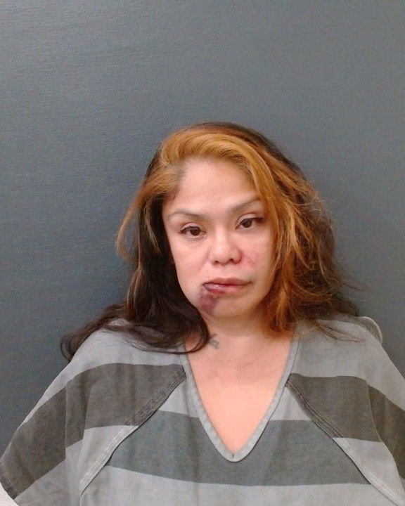 TORREZ, JANNA RENA arrested by Comal County SO/PD